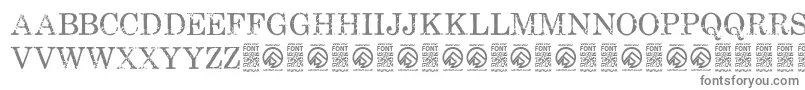 FallenspartansRegular-fontti – harmaat kirjasimet valkoisella taustalla