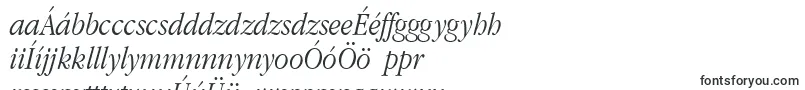 Шрифт Applegaramond Lightitalic – венгерские шрифты