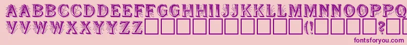 SeymourRegular Font – Purple Fonts on Pink Background