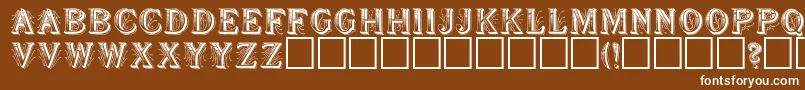 SeymourRegular Font – White Fonts on Brown Background