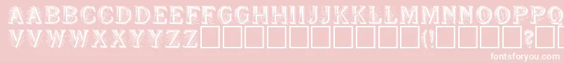 SeymourRegular Font – White Fonts on Pink Background