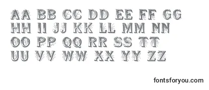 SeymourRegular Font