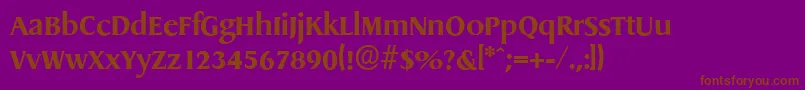 Шрифт DragonserialXboldRegular – коричневые шрифты на фиолетовом фоне