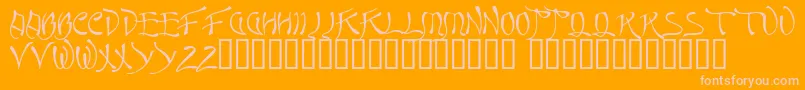 Quasi Font – Pink Fonts on Orange Background
