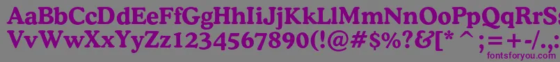 フォントCooperlightcbtBold – 紫色のフォント、灰色の背景