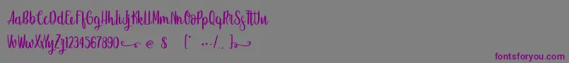 SweetHipster-Schriftart – Violette Schriften auf grauem Hintergrund