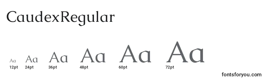 Размеры шрифта CaudexRegular