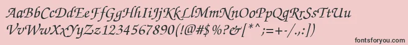 FlorencescriptRegular Font – Black Fonts on Pink Background