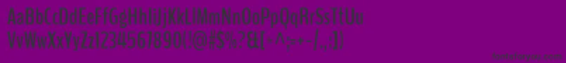 BenchnineBold Font – Black Fonts on Purple Background