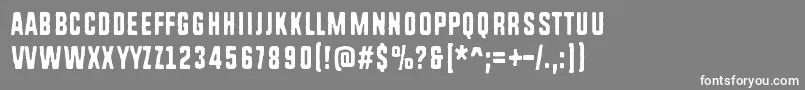 RoughSimple Font – White Fonts on Gray Background