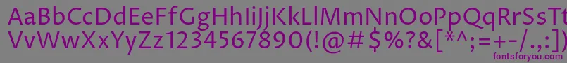 ProzalibreRegular-Schriftart – Violette Schriften auf grauem Hintergrund