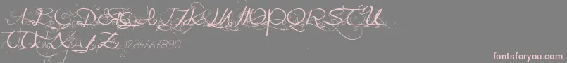 Onedaybeforerain Font – Pink Fonts on Gray Background
