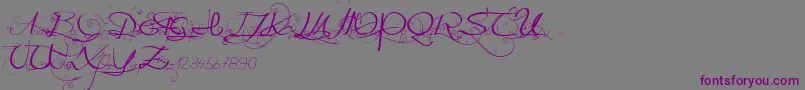 Onedaybeforerain Font – Purple Fonts on Gray Background