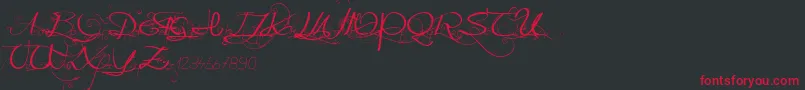 Onedaybeforerain-Schriftart – Rote Schriften auf schwarzem Hintergrund
