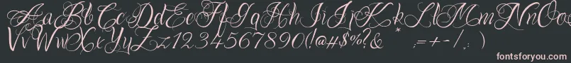 Шрифт OnechancescriptRegular – розовые шрифты на чёрном фоне