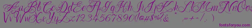 フォントOnechancescriptRegular – 紫色のフォント、灰色の背景