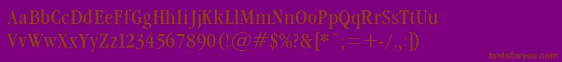 GrmndL Font – Brown Fonts on Purple Background