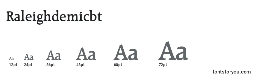 Raleighdemicbt Font Sizes