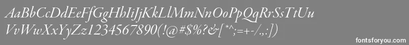 Шрифт GaramondpremrproItdisp – белые шрифты на сером фоне