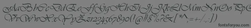 VivaldiScript Font – Black Fonts on Gray Background