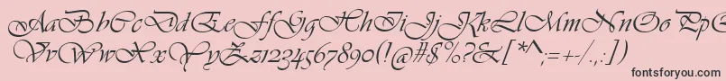VivaldiScript Font – Black Fonts on Pink Background