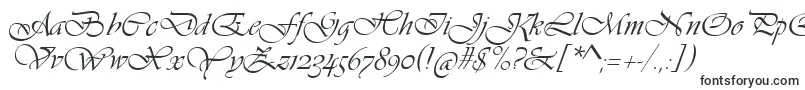 VivaldiScript Font – Kitchen Fonts