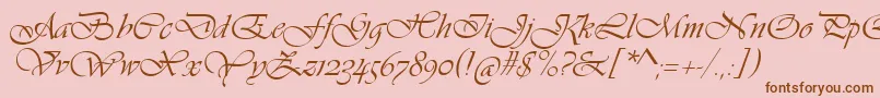 VivaldiScript Font – Brown Fonts on Pink Background