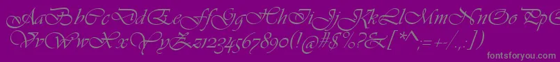 VivaldiScript Font – Gray Fonts on Purple Background