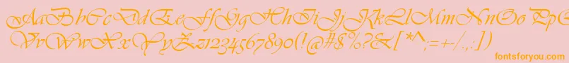 VivaldiScript Font – Orange Fonts on Pink Background
