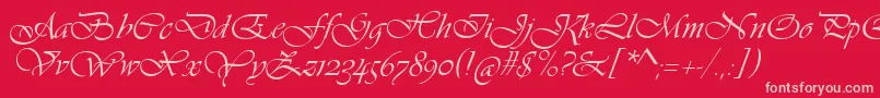 VivaldiScript-Schriftart – Rosa Schriften auf rotem Hintergrund