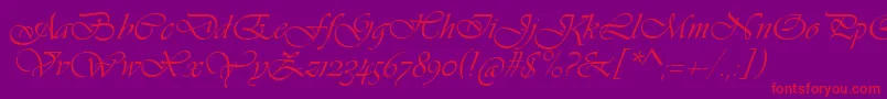 VivaldiScript Font – Red Fonts on Purple Background