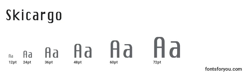 Skicargo Font Sizes