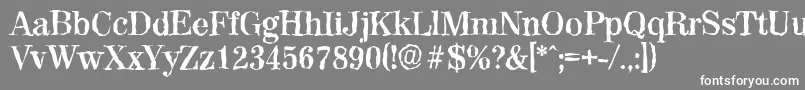 ValenciarandomBold Font – White Fonts on Gray Background