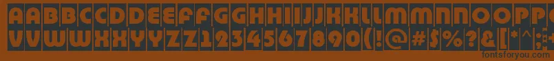 BighaustitulcmRegular Font – Black Fonts on Brown Background