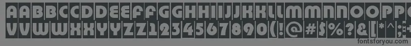 BighaustitulcmRegular Font – Black Fonts on Gray Background