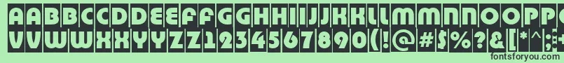 BighaustitulcmRegular Font – Black Fonts on Green Background