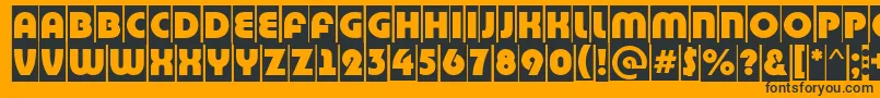 BighaustitulcmRegular Font – Black Fonts on Orange Background