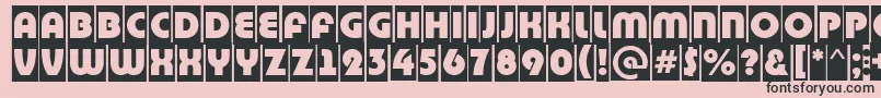 BighaustitulcmRegular Font – Black Fonts on Pink Background