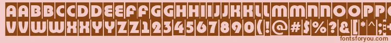 BighaustitulcmRegular Font – Brown Fonts on Pink Background