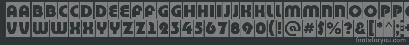 BighaustitulcmRegular Font – Gray Fonts on Black Background