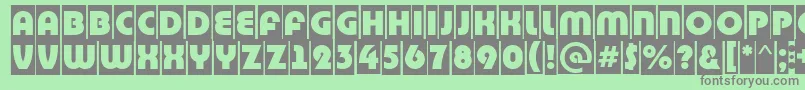 BighaustitulcmRegular Font – Gray Fonts on Green Background