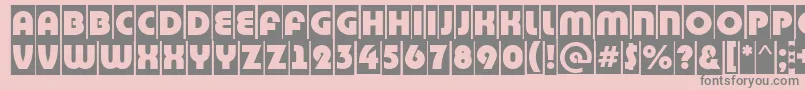 BighaustitulcmRegular Font – Gray Fonts on Pink Background
