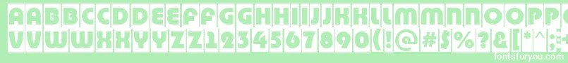 BighaustitulcmRegular Font – White Fonts on Green Background