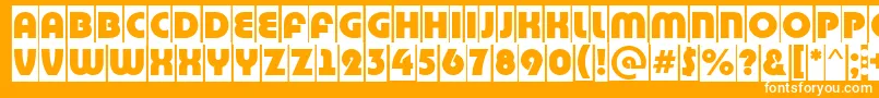 BighaustitulcmRegular Font – White Fonts on Orange Background