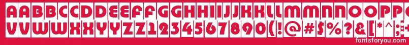 BighaustitulcmRegular Font – White Fonts on Red Background