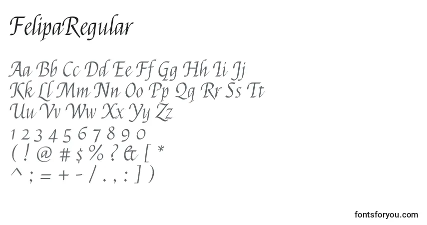 Czcionka FelipaRegular – alfabet, cyfry, specjalne znaki