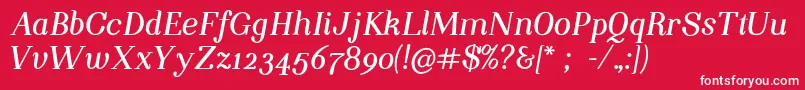 NightstillcomesBolditalicFinalSample Font – White Fonts on Red Background