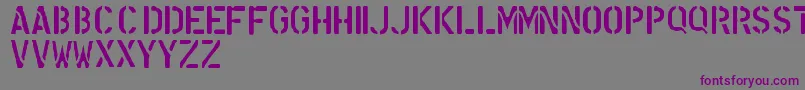 NdFont Font – Purple Fonts on Gray Background