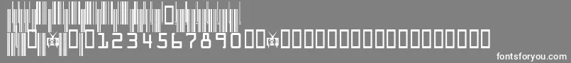フォントCodeXeroV3c – 灰色の背景に白い文字