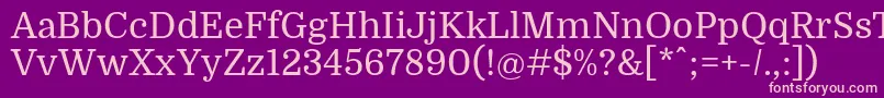 DomineRegular Font – Pink Fonts on Purple Background